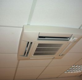 Specific Collar On Compact Cassette: Click Here To View Larger Image